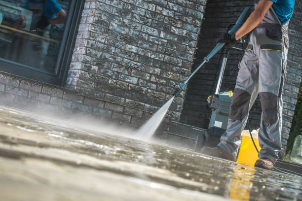 Animal Enclosure Cleaning in Chickasaw, AL