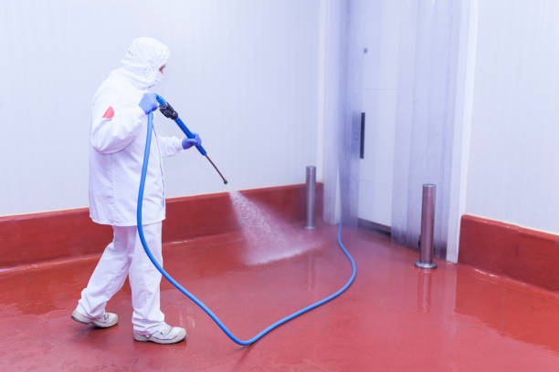 Best Driveway Pressure Washing  in Chickasaw, AL